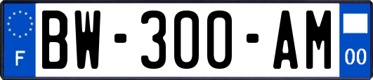 BW-300-AM