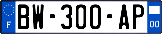 BW-300-AP