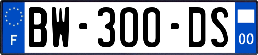 BW-300-DS