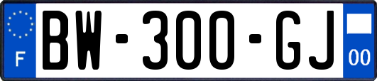 BW-300-GJ