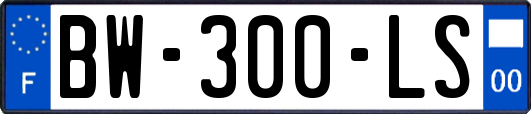 BW-300-LS