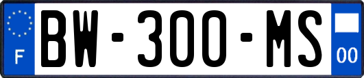 BW-300-MS