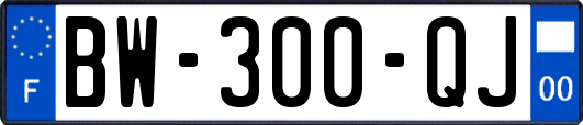 BW-300-QJ