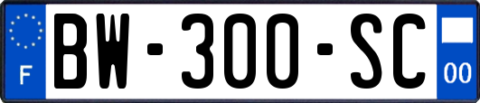 BW-300-SC