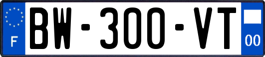 BW-300-VT