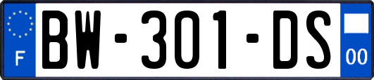 BW-301-DS