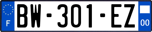 BW-301-EZ