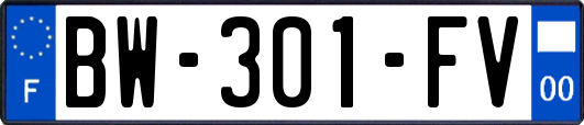 BW-301-FV