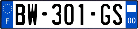 BW-301-GS