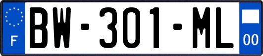 BW-301-ML