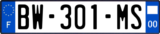 BW-301-MS