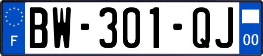 BW-301-QJ