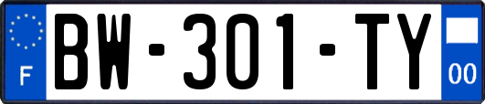 BW-301-TY