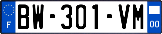 BW-301-VM