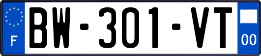BW-301-VT