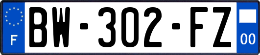 BW-302-FZ