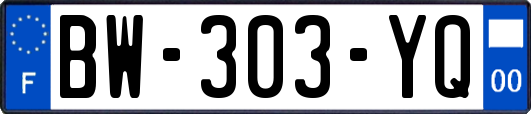 BW-303-YQ