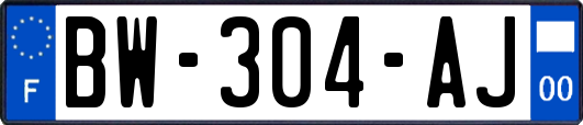 BW-304-AJ
