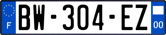 BW-304-EZ