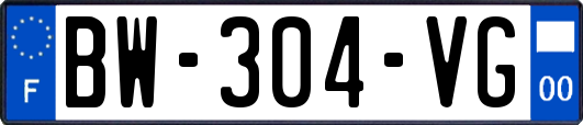 BW-304-VG