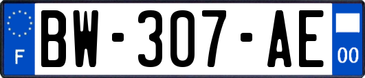 BW-307-AE