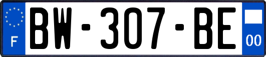 BW-307-BE