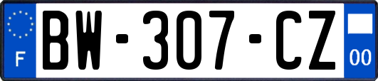 BW-307-CZ