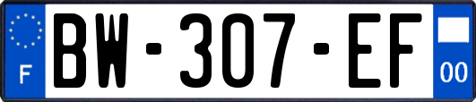 BW-307-EF