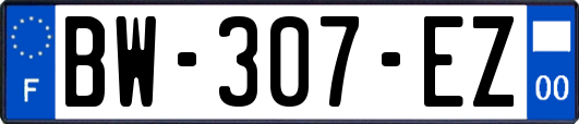 BW-307-EZ