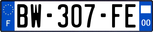 BW-307-FE