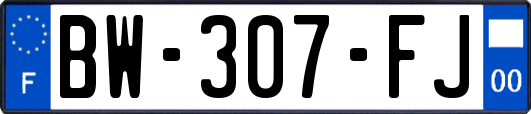 BW-307-FJ