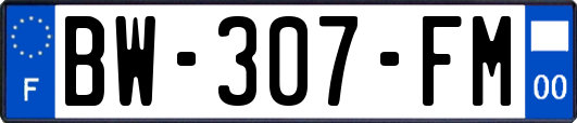 BW-307-FM