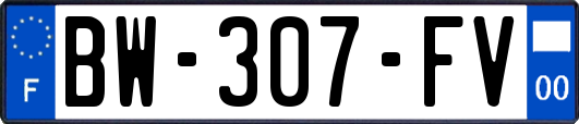 BW-307-FV