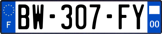 BW-307-FY