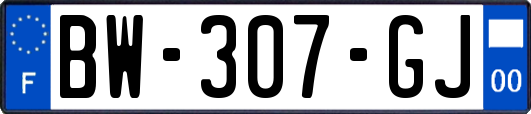 BW-307-GJ