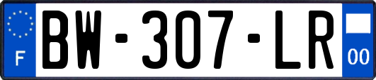 BW-307-LR