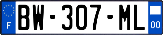 BW-307-ML