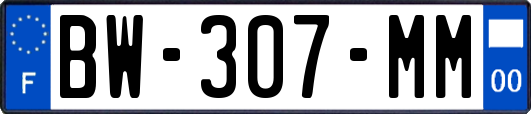 BW-307-MM