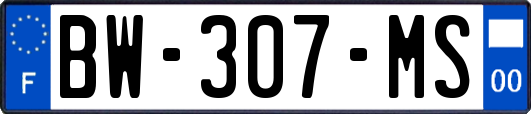 BW-307-MS