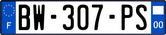 BW-307-PS