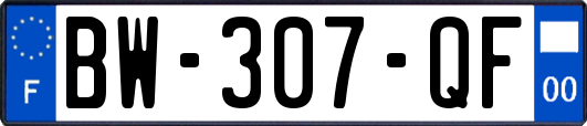 BW-307-QF