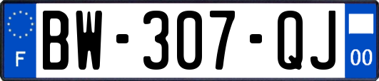 BW-307-QJ