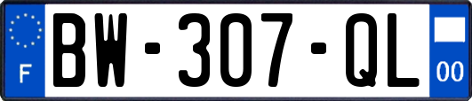 BW-307-QL