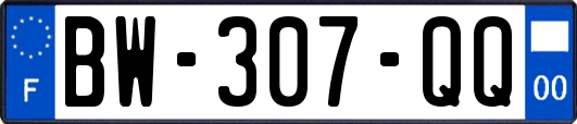 BW-307-QQ