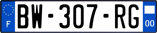 BW-307-RG