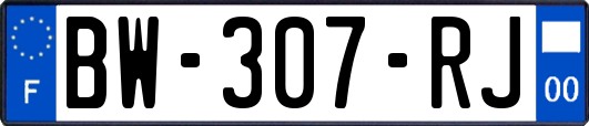 BW-307-RJ