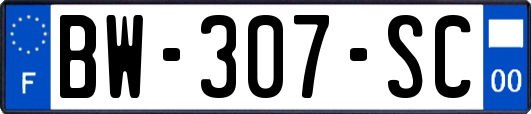 BW-307-SC
