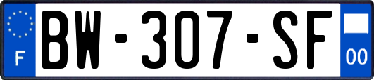 BW-307-SF
