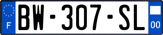 BW-307-SL