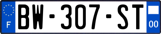 BW-307-ST